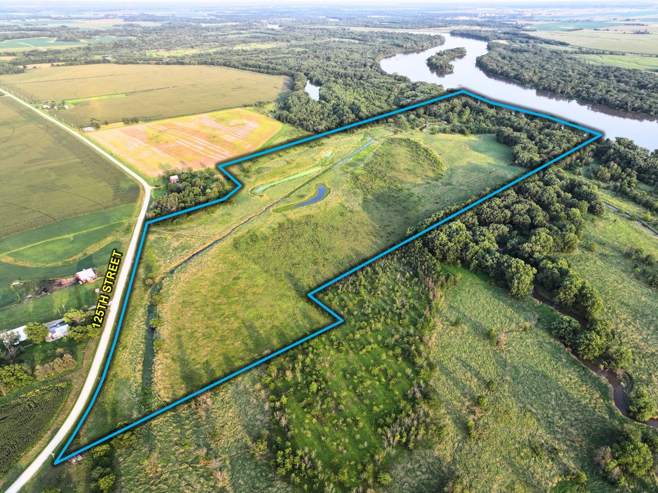 Listing Photo: Louisa County 91 Acres